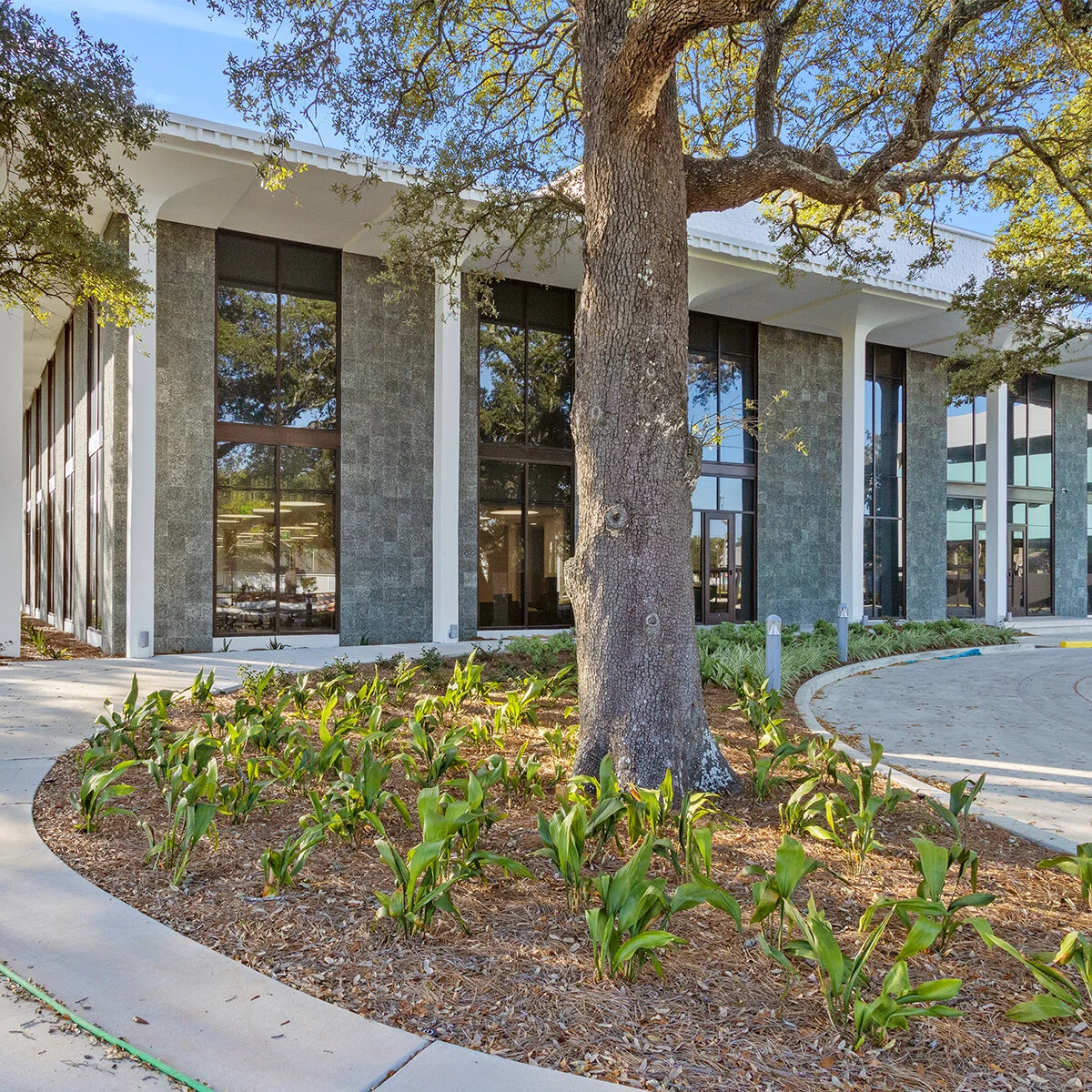 The Fight for New Formalism — Mississippi Heritage Trust